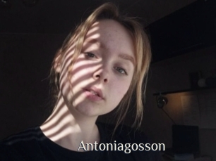 Antoniagosson