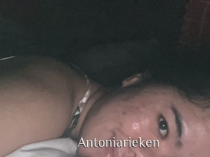 Antoniarieken