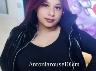 Antoniarouse101cm