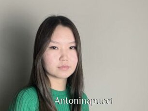 Antoninapucci