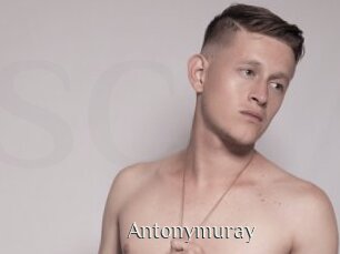 Antonymuray