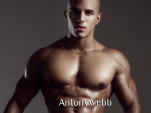 Antonywebb