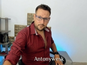 Antonywesk