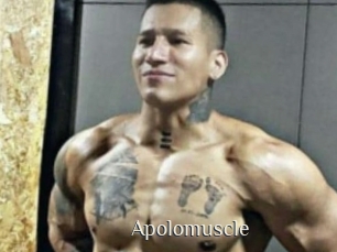 Apolomuscle