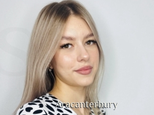 aracanterbury Shop coquin