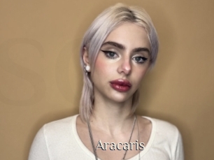 Aracaris