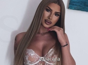 Ariacara