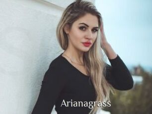 Arianagrass