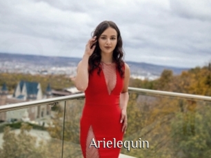 arielequin Shop coquin