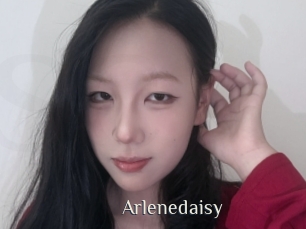 Arlenedaisy