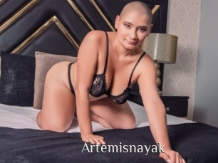 Artemisnayak