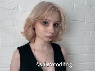 Ashleycodling