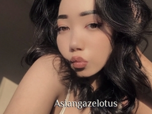 Asiangazelotus