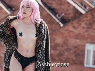 Asshleyrose