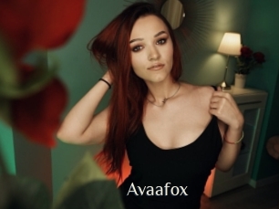 Avaafox