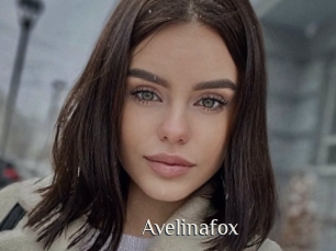 Avelinafox