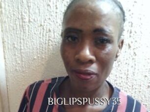 BIGLIPSPUSSY35