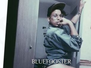 BLUEFOOSTER