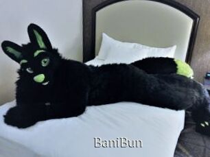 BaniBun