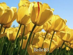 BelleB3