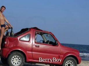 BerryBoy