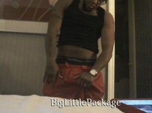 BigLittlePackage