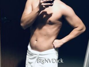 BigNVDick
