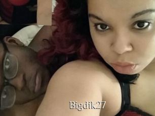 Bigdik27