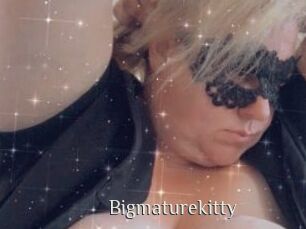 Bigmaturekitty