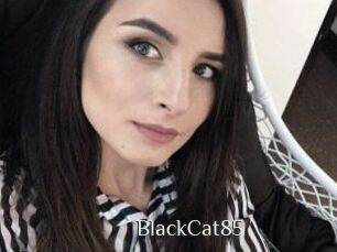 BlackCat85