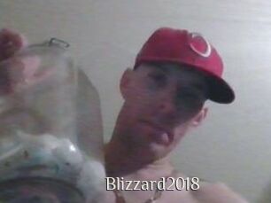 Blizzard2018