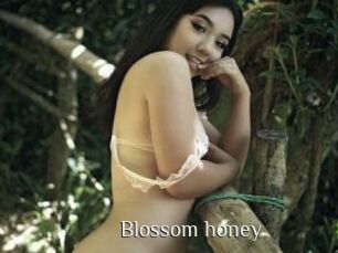Blossom_honey