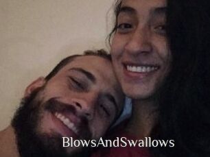 BlowsAndSwallows