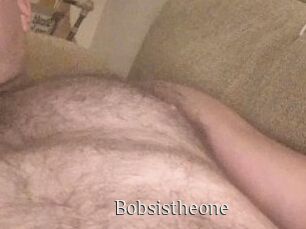 Bobsistheone