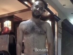 Bosom