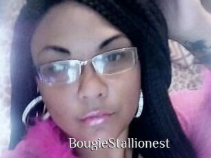 BougieStallionest