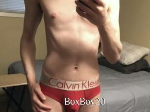 BoxBoy20