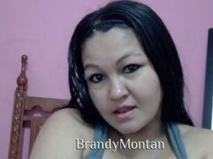 BrandyMontan