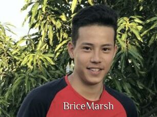 BriceMarsh Shop coquin