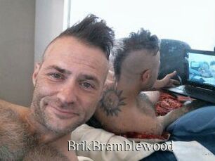 BrikBramblewood Shop coquin