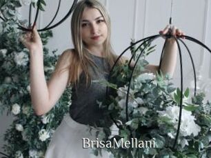 BrisaMellani Shop coquin