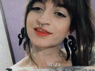 Briza