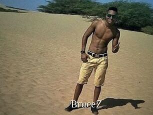 BruceZ