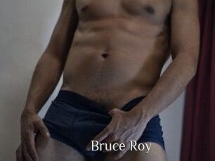 Bruce_Roy Shop coquin