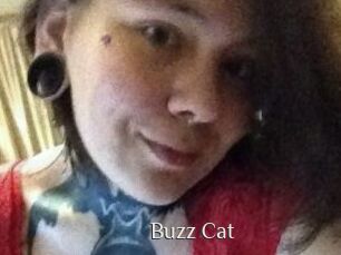 Buzz_Cat