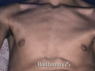 Badbunny75