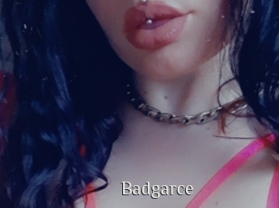 Badgarce
