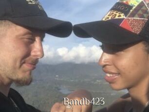 Bandb423