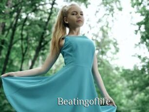 beatingoflife Shop coquin