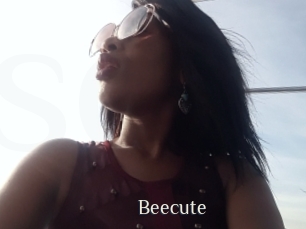 Beecute
